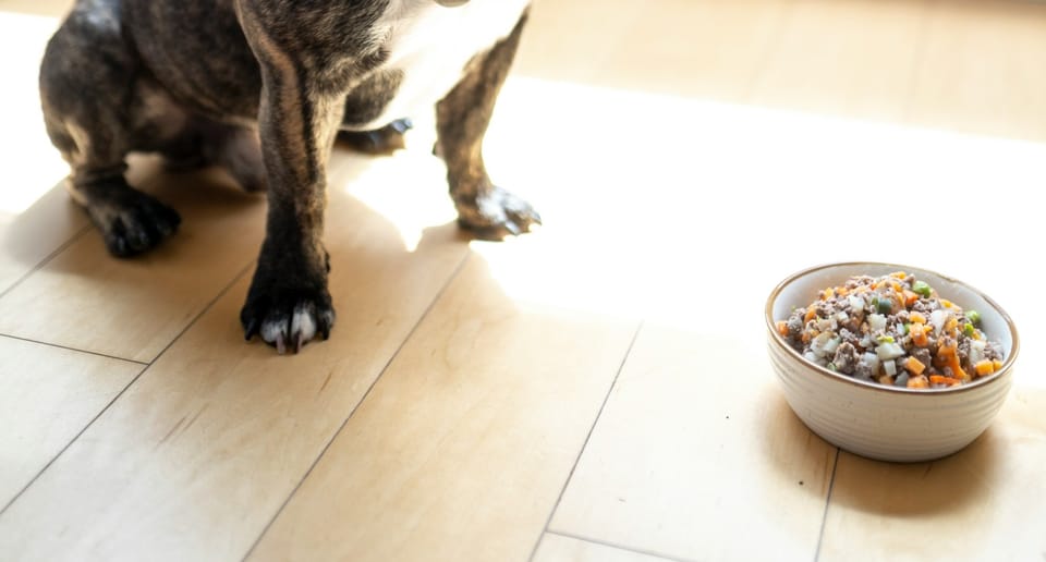 The Art of Dog Fooding