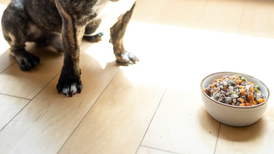 The Art of Dog Fooding